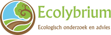 Ecolybrium